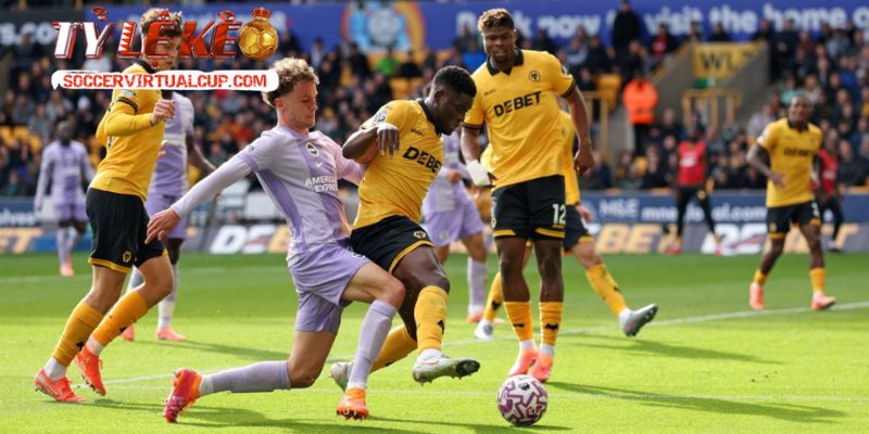Phong độ gần đây hé lộ kết quả Wolverhampton Wanderers vs Brighton